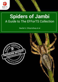 Image of Spiders of Jambi : A Guide to The EFForTS Collection